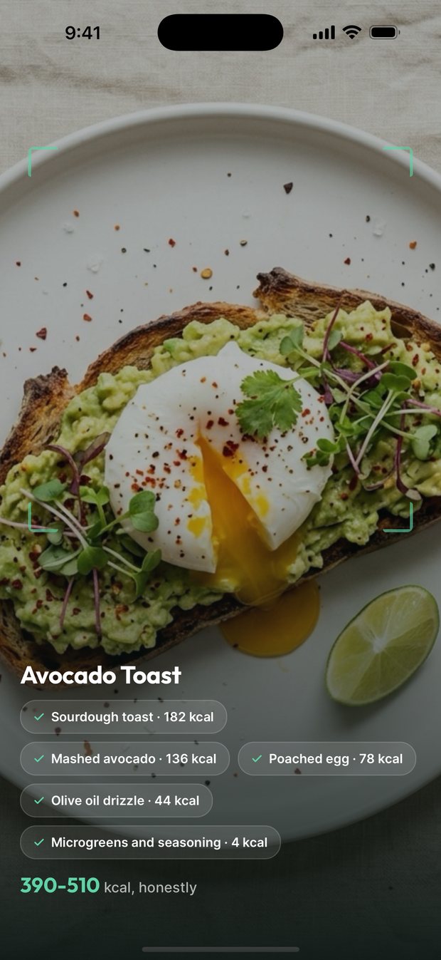 KalTrack scanning a photo of avocado toast, listing each item it found with its calories and a 390 to 510 kcal range